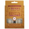 Apple Cider Plug In Scented Oil Refill, 2-Pack
