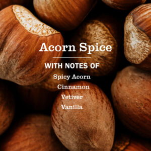 Acorn Spice Plug In Scented Oil Refill, 2-Pack - Image 4