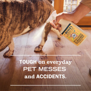 Orange Blossom Pet Multi-Surface Cleaner - Image 4