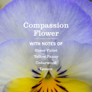 Compassion Flower Plug In Scented Oil Refill, 2-Pack - Image 6