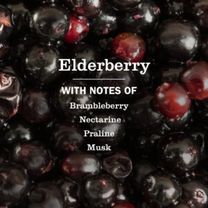 Elderberry Plug In Scented Oil Warmer With Refill - Image 5