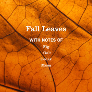 Fall Leaves Plug In Scented Oil Refill, 2-Pack - Image 4