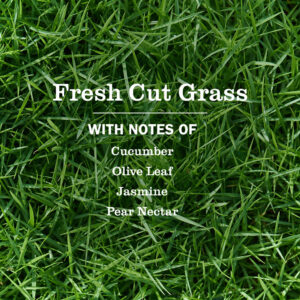 Fresh Cut Grass Plug in Scented Oil Warmer With Refill - Image 3