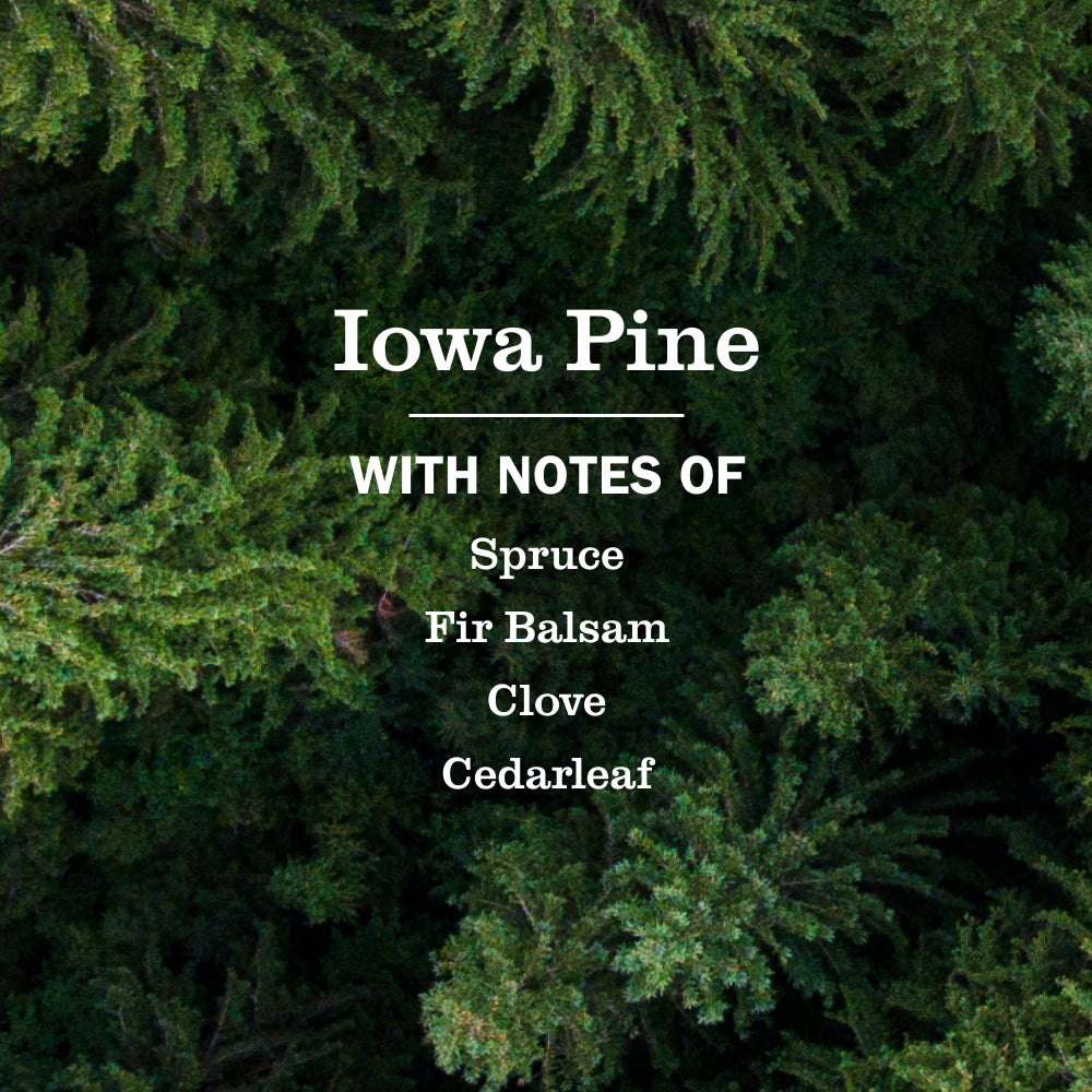 Iowa Pine Plug In Scented Oil Refill, 2-Pack - Image 5