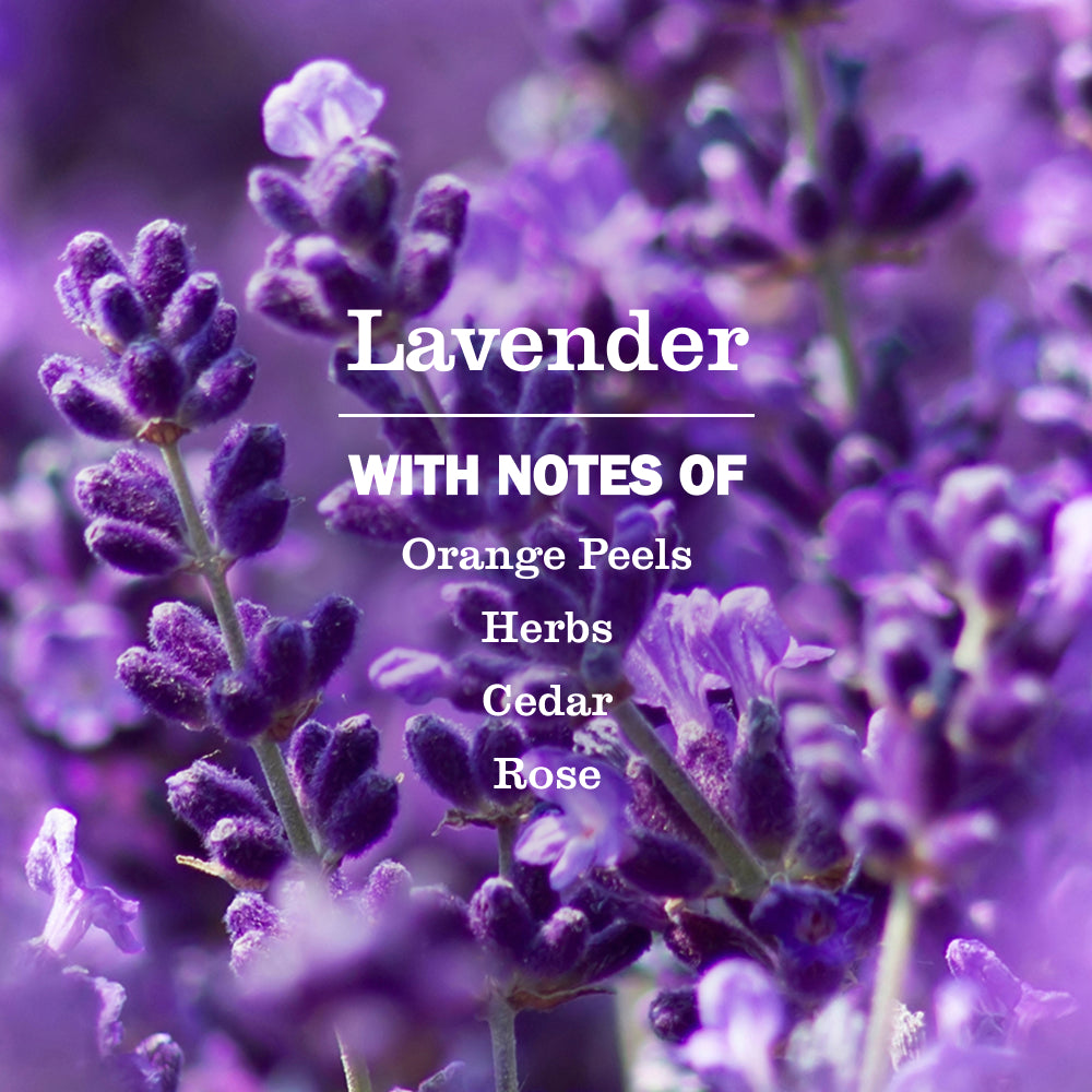 Lavender Plug In Scented Oil Refill, 2-Pack - Image 5
