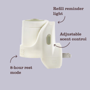 Acorn Spice Plug In Scented Oil Refill, 2-Pack - Image 6