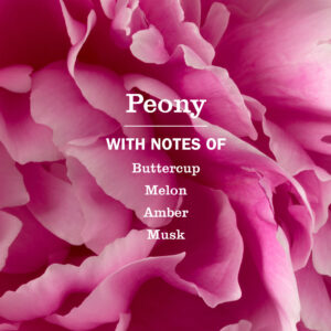 Peony Plug In Scented Oil Refill, 2-Pack - Image 5