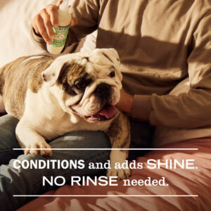 Sweet Chamomile Dog Deodorizing Spritz - Image 4