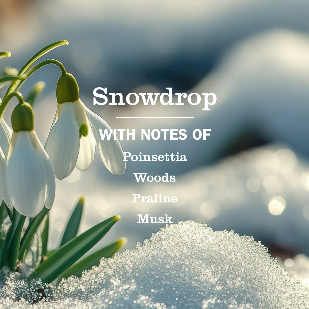 Snowdrop Plug In Scented Oil Refill, 2-Pack - Image 5