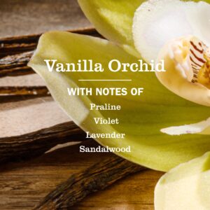 Vanilla Orchid Liquid Hand Soap - Image 3