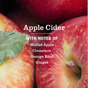 Apple Cider Dish Soap 3-count Bundle - Image 4