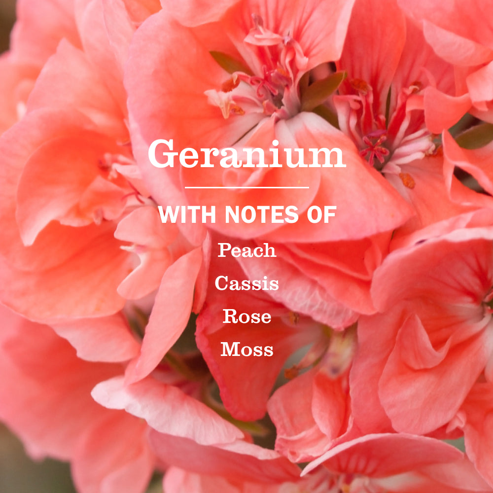 Geranium Room Freshener - Image 4