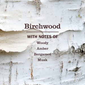 Alternative view of Birchwood Liquid Hand Soap & Refill Set