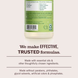 Iowa Pine Multi-Surface Everyday Cleaner - Image 6