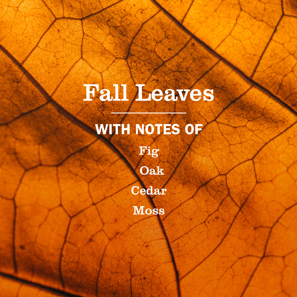 Fall Leaves Multi-Surface Everyday Cleaner - Image 4