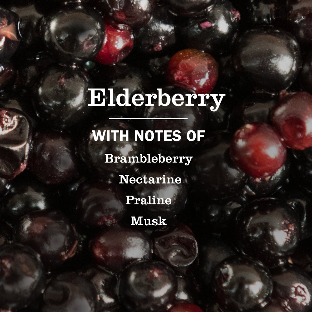 Elderberry Dish Soap - Image 4