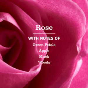 Rose Dish Soap - Image 4