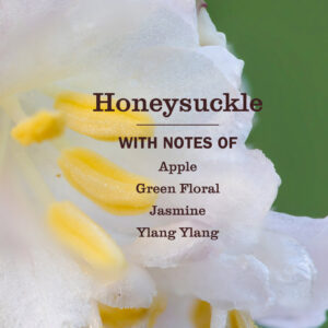 Alternative view of Honeysuckle Liquid Hand Soap & Refill Set