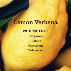 Lemon Verbena Dish Soap - Image 4