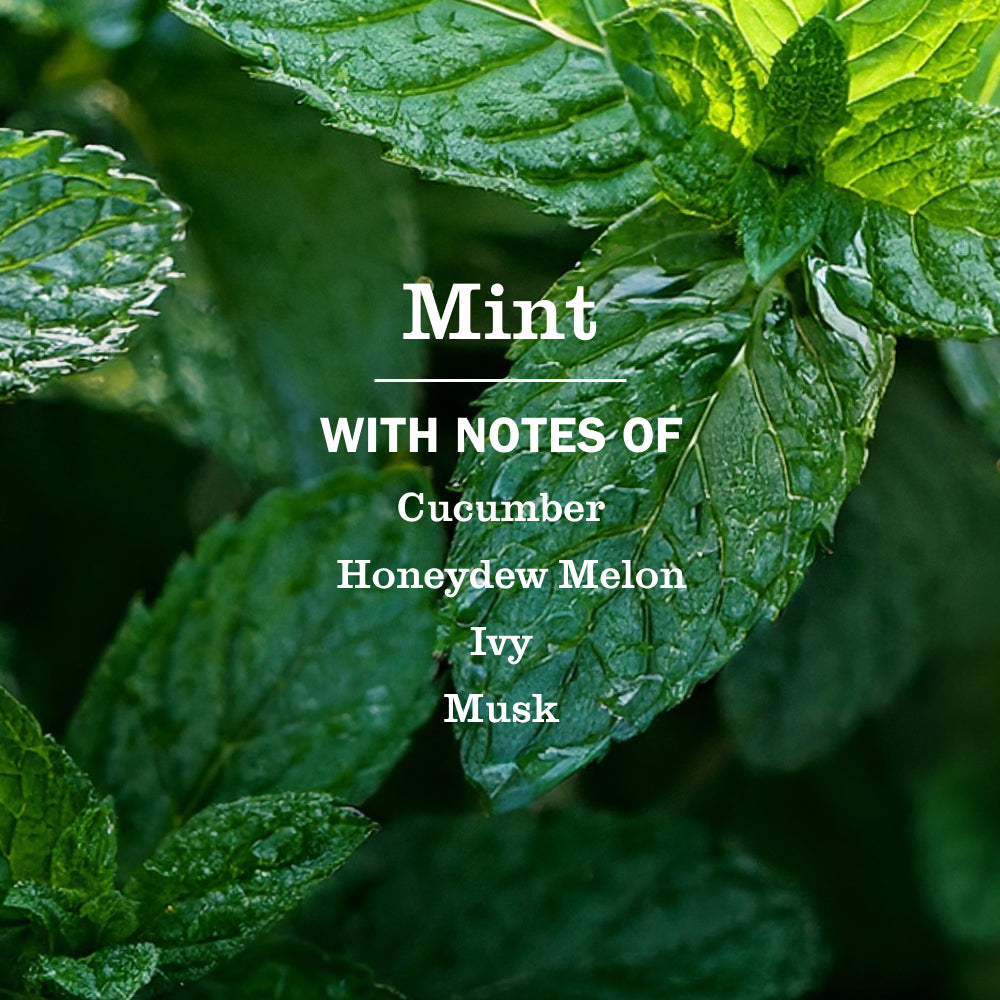 Mint Liquid Hand Soap - Image 4