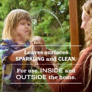 Lavender Glass Cleaner - Image 4