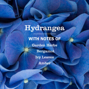 Hydrangea Liquid Hand Soap - Image 4