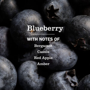Blueberry Multi-Surface Everyday Cleaner - Image 4