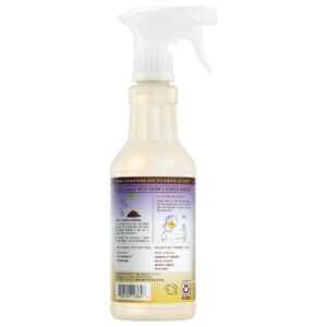 Compassion Flower Multi-Surface Everyday Cleaner - Image 3