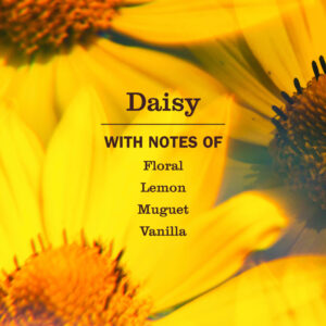 Daisy Room Freshener - Image 4