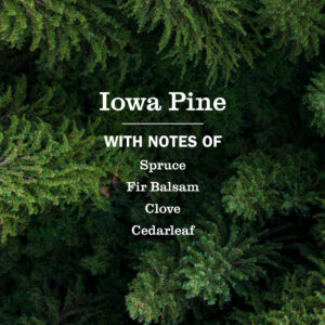Alternative view of Iowa Pine Liquid Hand Soap & Refill Set