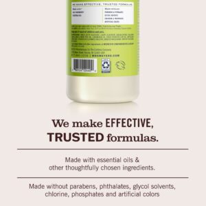 Lemon Verbena Multi-Surface Concentrate - Image 6