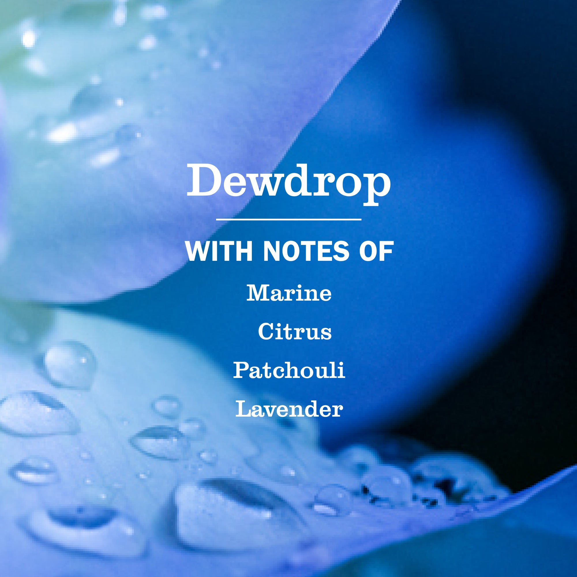 Dewdrop Kitchen Basics Set - Image 4