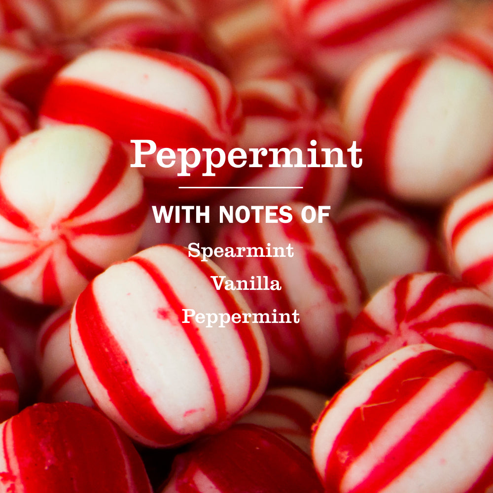 Peppermint Multi-Surface Everyday Cleaner - Image 4