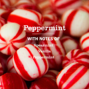 Alternative view of Peppermint Kitchen Basics Set
