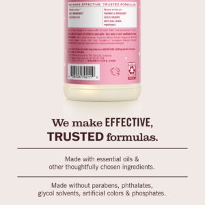 Peppermint Multi-Surface Everyday Cleaner 3-count Bundle - Image 6