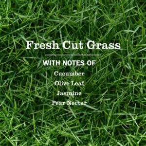 Fresh Cut Grass Room Freshener - Image 3
