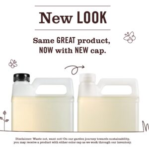 Lemon Verbena Dish Soap Refill - Image 3