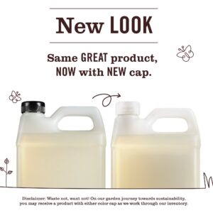 Compassion Flower Liquid Hand Soap Refill - Image 4
