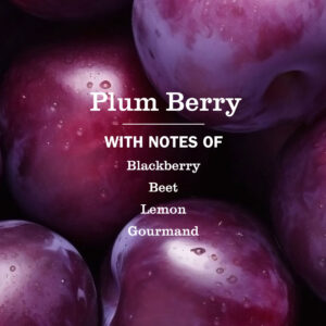 Alternative view of Plum Berry Liquid Hand Soap & Refill Set