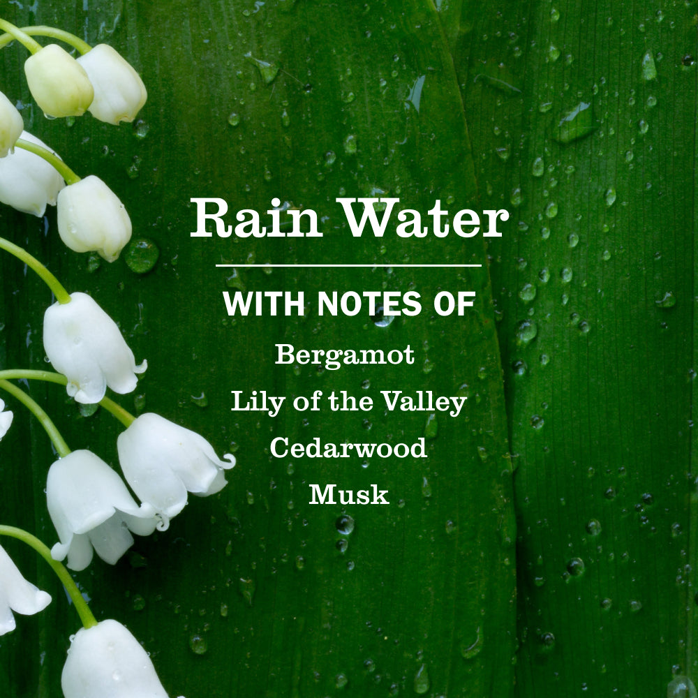 Rain Water Ultra Concentrated Laundry Detergent - Image 3