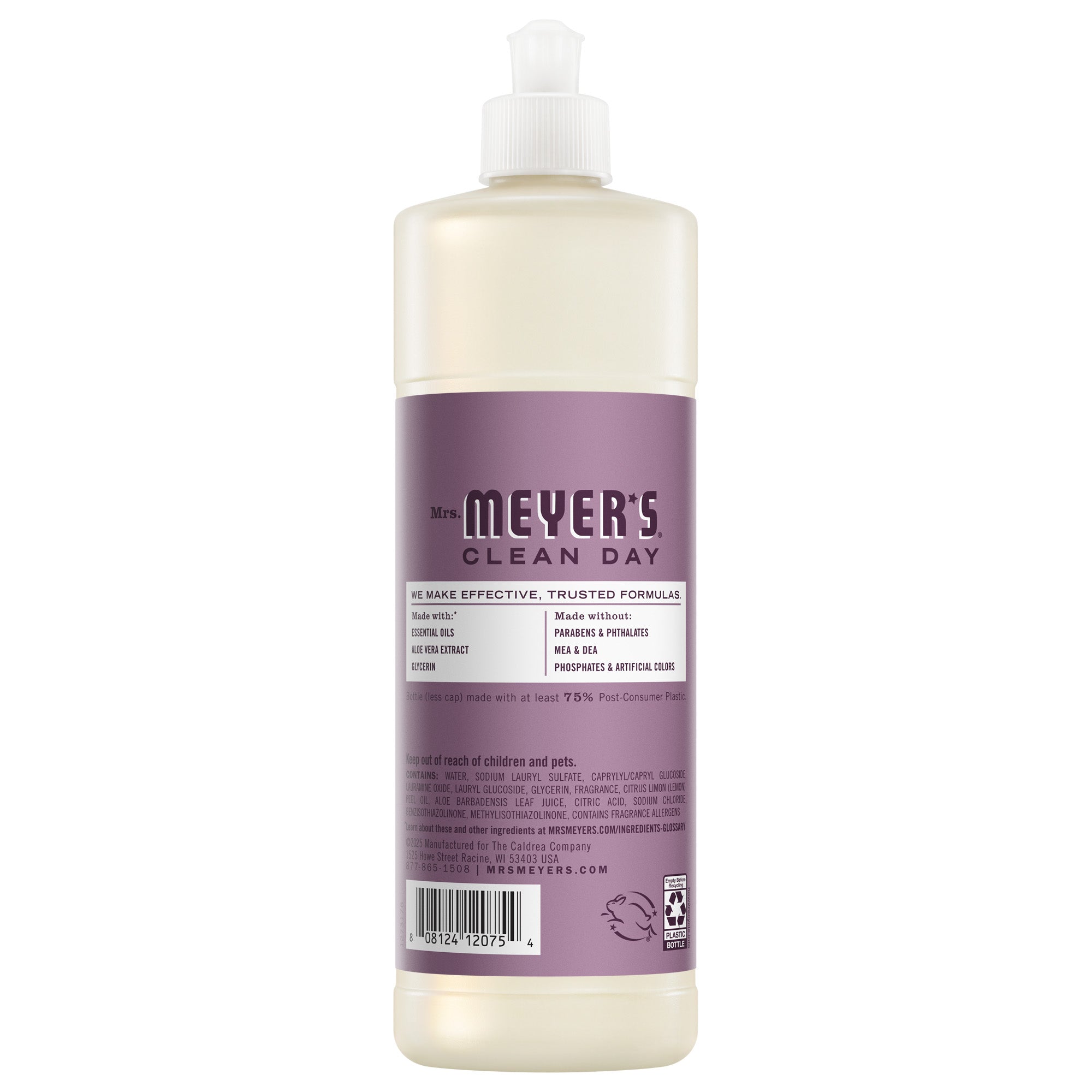 Elderberry Dish Soap - Image 2