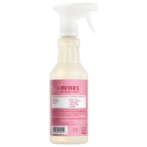 Alternative view of Peppermint Multi-Surface Everyday Cleaner