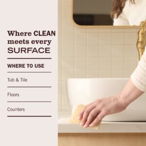 Peony Multi-Surface Concentrate - Image 5