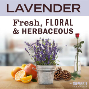 Lavender Probiotic Multi-Surface Concentrate - Image 3